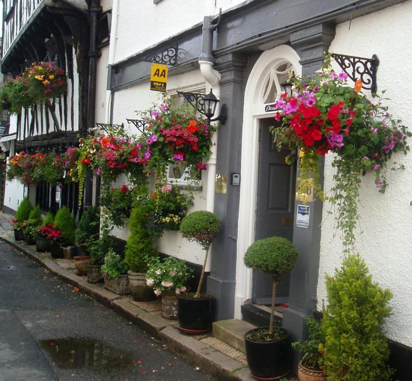 Cherubs Nest Dartmouth Exterior foto